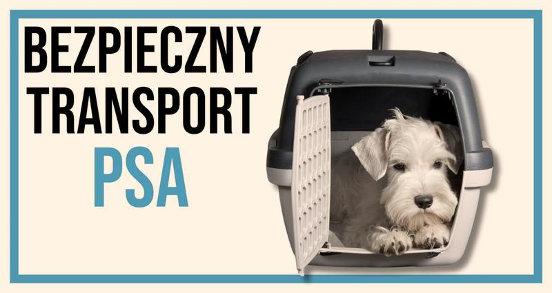 Koszty przewozu psa