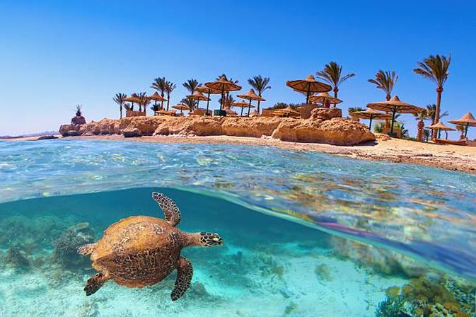 Lot do Marsa Alam