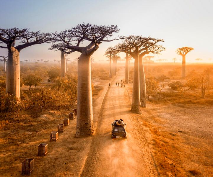 Podróż na Madagaskar