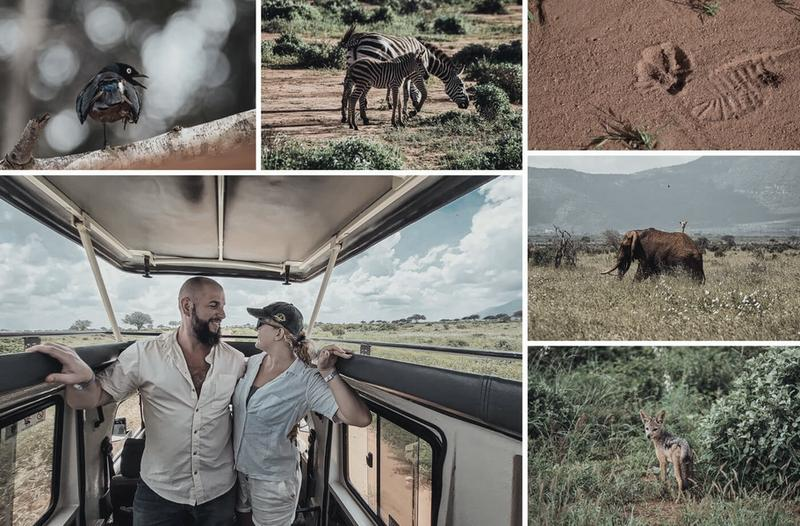 Safari w Kenii
